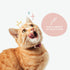 kin+kind Cat Ear Cleaner - Natural Cat Ear Drops, Vet Solution for Wax, Odor and Itchy Irritation, Made in USA