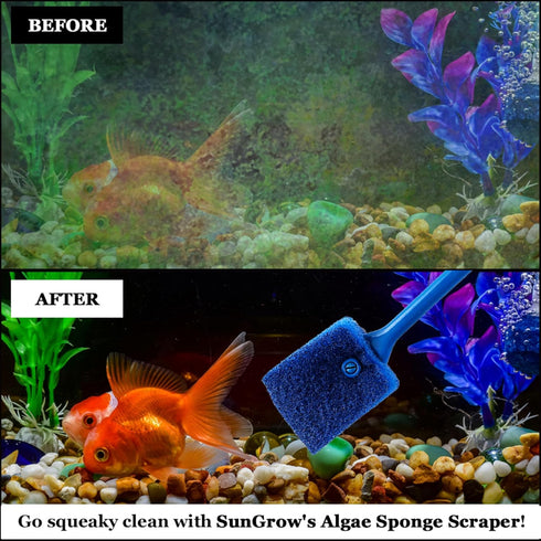 SunGrow Aquarium Crested Gecko, Hermit Crab Sponge Scraper, 16” x 2”, Double-Sided Blue Sponge