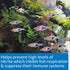 API NITRITE TEST KIT for Freshwater and Saltwater Aquariums, 180-Test
