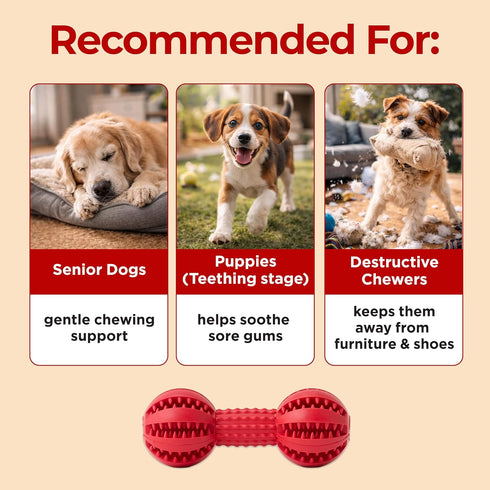 JAYU PET Toothbrush Toy Dog Chew Toy for Aggressive Chewers, Durable Dental Toy for Small & Medium Dogs, Teeth Cleaning