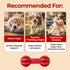 JAYU PET Toothbrush Toy Dog Chew Toy for Aggressive Chewers, Durable Dental Toy for Small & Medium Dogs, Teeth Cleaning