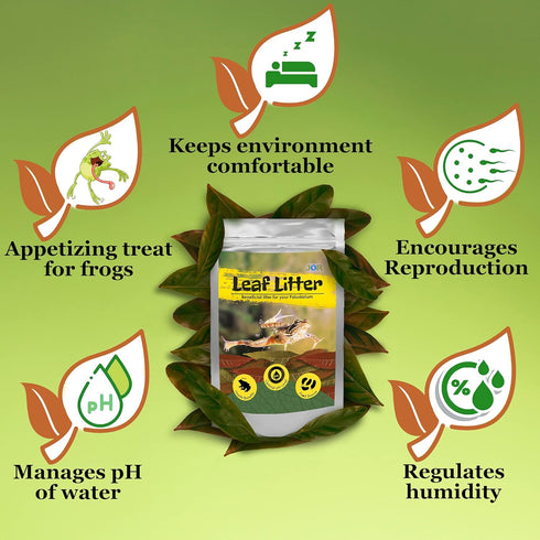 JOR Mahogany Leaves | Vivarium Leaf Litter for Frogs | Maintains Humidity and pH Levels, 50 Pack, 2” Small