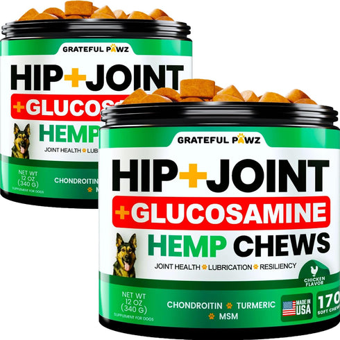 (2 Pack) Hemp Hip and Joint Supplement for Dogs, Glucosamine, 340 Dog Joint Pain Relief Treats, Mobility Support