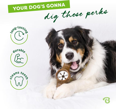 Benebone Pawplexer Interactive Treat Dispensing Tough Dog Puzzle Chew Toy, Medium, Real Bacon Flavor, Made in USA