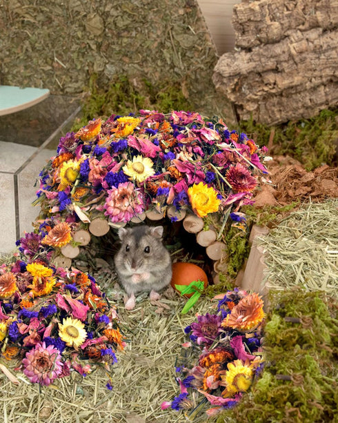 Bissap Natural Flower & Herb Hamster Bedding 300g/10.5oz, Small Animal Habitat Decor for Hamster, Gerbil, Chinchilla