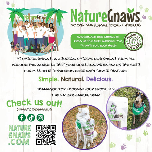 4-5" (12 Count) Nature Gnaws Beef Tendons for Dogs - Mixed Thickness - Long Lasting for Small and Medium Dogs - Natural