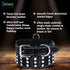 Genuine Leather Studded Dog Collar | Brazier Rivet | 2” Wide, Heavy Duty, Cushion Padding for Medium, Large, XL