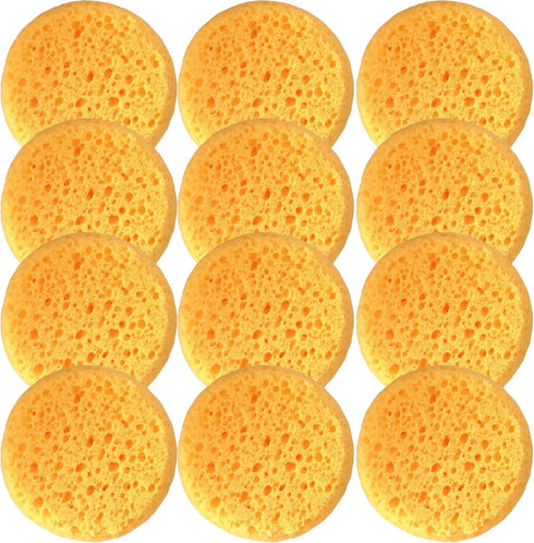 A Box of 12 Tack Sponges (coarse Holes)