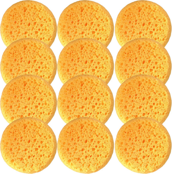 A Box of 12 Tack Sponges (coarse Holes)