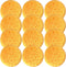 A Box of 12 Tack Sponges (coarse Holes)