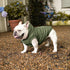 Fleece Lining Extra Warm Dog Hoodie for Medium Dogs, Winter Jacket Pet Coat with Hooded Green L