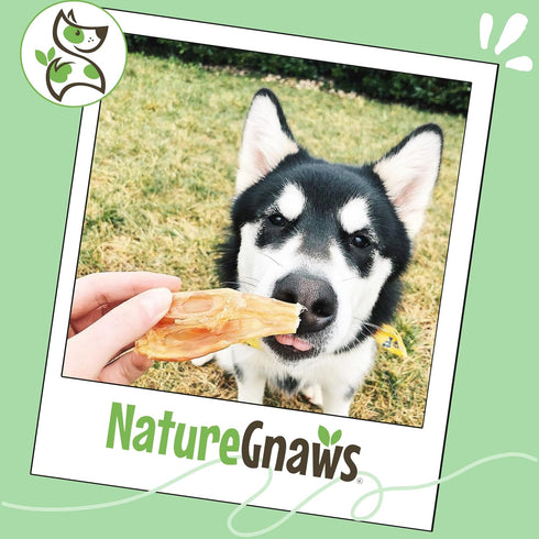 (8oz) Nature Gnaws Beef Tendons for Dogs - Mixed Thickness - Long Lasting for Small and Medium Dogs - Natural Beef