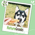 (8oz) Nature Gnaws Beef Tendons for Dogs - Mixed Thickness - Long Lasting for Small and Medium Dogs - Natural Beef