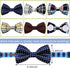 PET SHOW Pet Small Dogs Collar Attachment, Bow Ties for Puppies & Cats, Accessories for Parties
