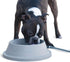 K&H Pet Products Thermal-Bowl - Outdoor Heated Cat & Dog Water Bowl, Gray, 32 Ounces