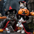 3 (6.57") Cat Toys Funny Tools Pcs, Horror Adult Cat Enrichment Catnip Toys with Crinkle Sound, Realistic Design Gifts