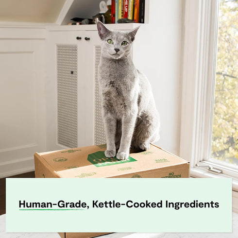 5.5oz Packs 12) Open Farm Rustic Blend Wet Cat Food, Complete & Balanced Medley with Human-Grade Ingredients