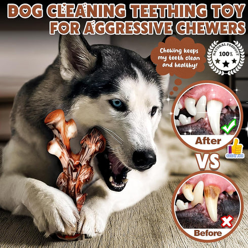Dog Toys - 4-Pack Indestructible Chew Toys for Aggressive Chewers - Nylon Durable Dog Toys for Medium Large
