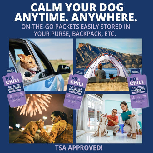 100% 1 Oz Pack 6 Under the Weather Pet PB & CHILL Dog Peanut Butter Dog Treats | Vet-Formulated Natural and Tasty