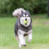 (6 Pack) KONG Air Dog SqueakAir Dog Toy Tennis Balls, Medium