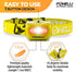 Foxelli LED Headlamp Flashlight - Lightweight & Waterproof for Adults & Kids, Running, Camping, Hiking with 3 AAA