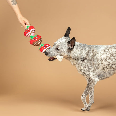 (314495) Fringe Studio Plush Dog Toy with Rope, Covered with Love, Petshop Collection