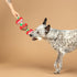 (314495) Fringe Studio Plush Dog Toy with Rope, Covered with Love, Petshop Collection