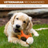 SPOT Bam-Bones Dental X-Bone, Made with Bamboo Fiber, Durable Oral Care Chew for Light Chewers, 6in