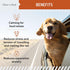 Calming Chews for Dogs - 30 Anxiety Relief Treats for Fireworks, Thunder, Storms, Natural Dog Calming Treats for All