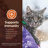 Wellness CORE Digestive Health Probiotic Coated High Protein Dry Cat Food, Salmon & Rice Recipe, 5 Pound Bag
