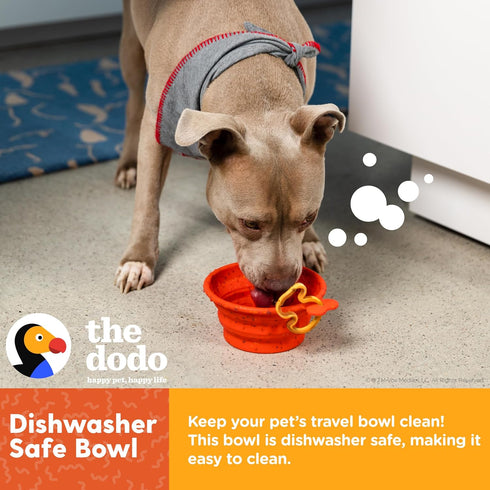 The Dodo Collapsible Dog Bowl, Red; Travel Bowl That Folds Flat with Carabiner for Easy Storage and Carry