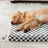 JOEJOY Dog Bed for Medium Dogs, Large Orthopedic Bed with Removable Washable Cover, Plush & Memory Egg Crate Foam, 30 x