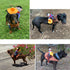 Cowboy Rider Dog Costume, Knight Style Outfit with Doll and Hat, Pet Costume (L)