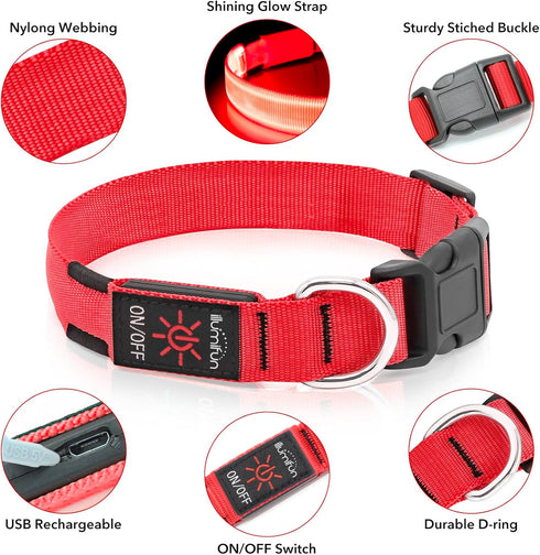 Illumifun LED Dog Collar, Adjustable Light Up Safety Pet Collar (Red, Small)