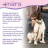 1 lb Caf Nara - Beef Air-Dried Food for Dogs - Complete Meal, Food Topper or Treat - Minimally Processed & Highly