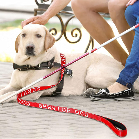 Frienda Emotional Support Dog Leash, Reflective ESA Leash with Waterproof Neoprene Handle for Service Dog Vest