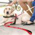 Frienda Emotional Support Dog Leash, Reflective ESA Leash with Waterproof Neoprene Handle for Service Dog Vest