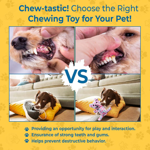 SunGrow Teddy Bear Teething Toy Dog Rope for Medium Small Dogs - Knotted Rope for Teeth Cleaning