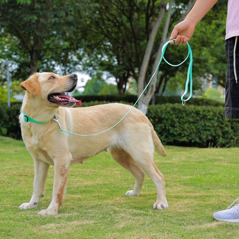 Waterproof Dog Leash, 5/6 FT Durable Odor-Proof with Strong Metal Hooks for Small Medium Large Dogs, Mint Green