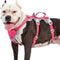 Escape Proof Dog Harness, Reflective with Handle, Breathable Adjustable Vest for Large Dogs Walking and Training