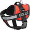 Dogline Vest Harness for Dogs with 2 Removable Medical Alert Patches, Large (28 to 38", Red)