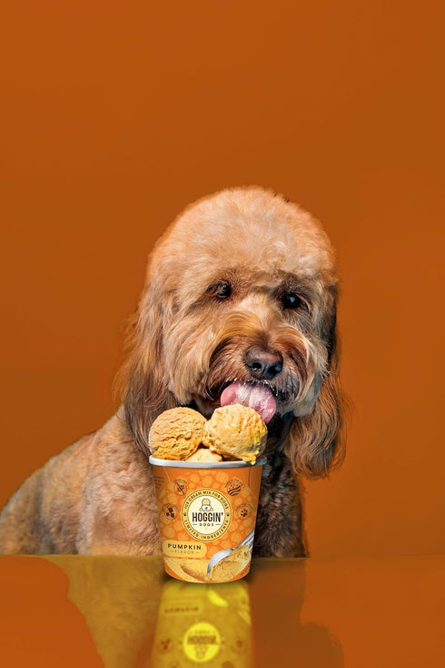 Packet, 4 Pack 4 count 4.65 oz Hoggin Dogs Ice Cream Mix - Just Add Water and Freeze, Doggy Ice Cream Mix Gifts