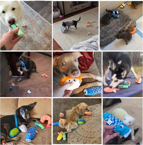 Nocciola 10 PCS Cute Stuffed Dog Toys, Plush Squeaky Toy for Small to Medium Dogs, Doggie Birthday Gifts with Bag