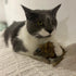 SPOT 8.5in, 1 Shaggy Plush Giant Mouse - Cat Toy, Fuzzy Mice with Catnip and Rattle Toy for Indoor Cats and Kittens