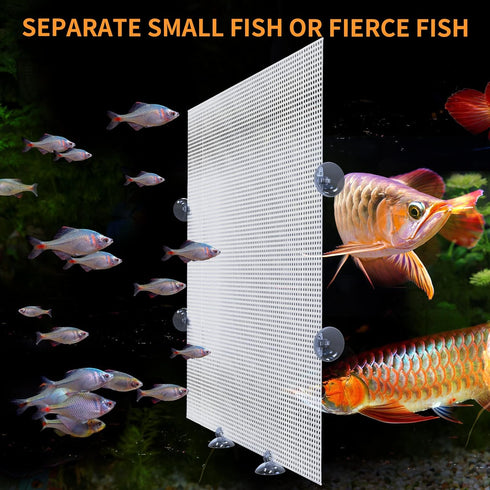 2PCS Fish Tank Divider, Plastic Aquarium Dividers with Suction Cups, Transparent Grid Plate Isolation Fish Tank