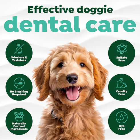 TropiClean Fresh Breath Advanced Whitening - Dog Oral Care Water Additive, Dental Health Freshener, VOHC Certified, 16