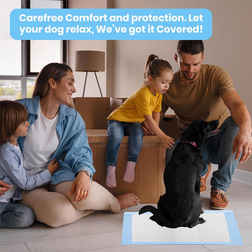 25 Count 24x36 Inch FPN Puppy Pads for Dogs | Extra Large Disposable Pee Pads for Dogs & Puppies | Dog Training Pads