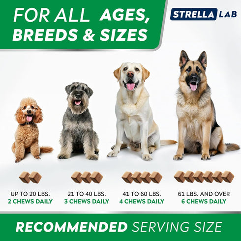 StrellaLab Dog Allergy Relief Chews, Anti Itch Support w/Omega 3, Skin & Coat Immune Supplement, 120Ct