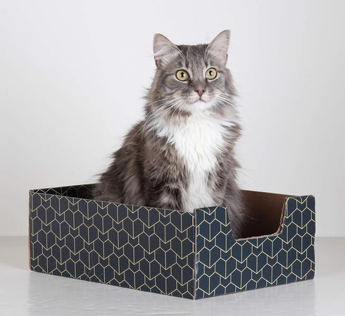 Modern Cat Box Lounger with Peek-a-Boo Cutout, Premium Corrugated Cardboard Bed for Kittens and Small Pets, Blue