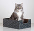 Modern Cat Box Lounger with Peek-a-Boo Cutout, Premium Corrugated Cardboard Bed for Kittens and Small Pets, Blue